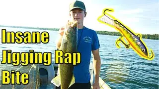 Walleyes LOVE Jigging Raps.