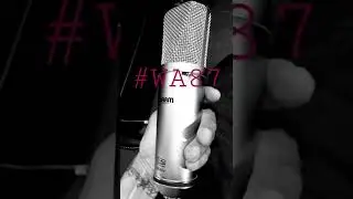 WA87r2 by WarmAudio Professional FET Condenser Studio High Quality Microphone for Studio Recording