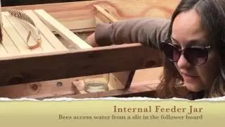 Beepods Top Bar Hive Equipment Overview Features Montage