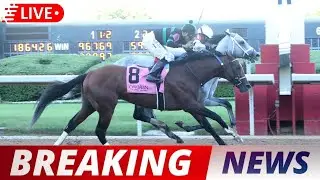 Brad Cox's Derby Hopeful The Undefeated Colt Chasing History at Oaklawn। USA NEWS TODAY