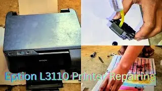 Printer Repairing & Service Tutorial | Eption L3110 Model