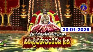 Sri Padmavathi Ammavari Sahasradeepalankarana  Seva || Tiruchanoor || 30-01-2026 || SVBC TTD