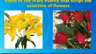 How the online florists help to express your feelings