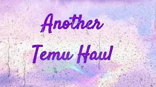 Another Temu Haul - Mixed Bag
