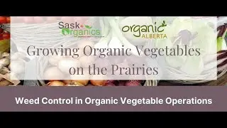 Weed Control in Organic Vegetable Operations