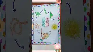Food Chain on Chart Paper #science #shorts #viral #scienceproject #food #chain #foodchain #youtube