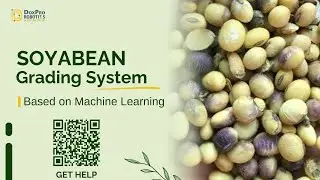 Soyabean Seed Grading System using Raspberry Pi & Image Processing | M0146