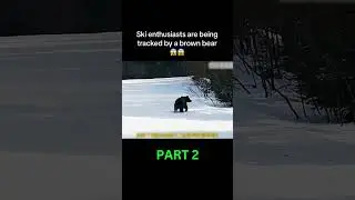 SKI ENTHUSIASTS TRACKED BY BROWN BEAR! 🐻🎿 PART 2