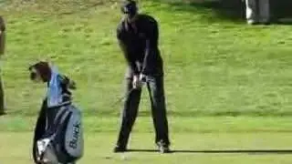 Tiger Woods