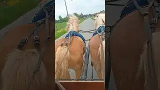 balade jurbise 2