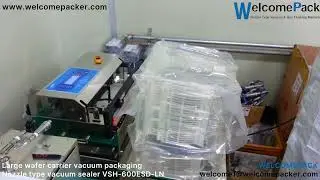 WELCOMEPACK / Large wafer carrier vacuum packaging / nozzle type vacuum sealer VSH-600ESD-LN