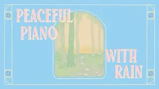 A path into the waking forest &ndash; Music for relaxation ✨