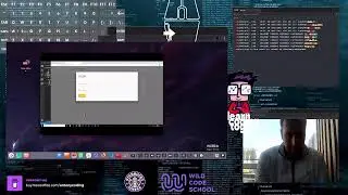 [learn coding together] Firebase Auth big lessons!!! by thenetninja
