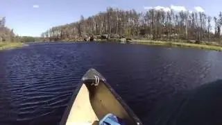 Rock Island Lake - Paddling the western arm of the lake in the Weasel Lake PMA in the BWCA
