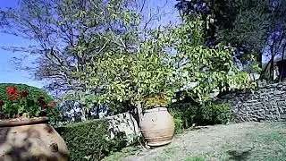 Parrot Ar Drone 2.0 Mods - Parrot Ar Drone 2.0 Mods