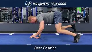 DNS Bear Position - Core Stability Exercise