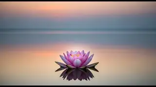 M&uacute;sica Relajante Para Dormir | Silencio Mental y Calma Interior