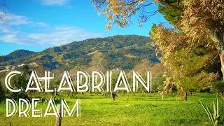 BEST PLACE TO LIVE IN CALABRIA ITALY!! // in my humblest opinion #calabria #italy #dreambig