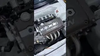 white mugen, civicnation#short