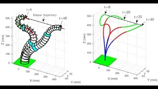 Simulation of Two-section continuum robot and redundancy phenomena