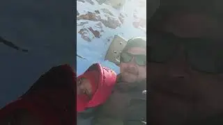 live manali snow fall 8th Jan 2025 #manali #walkthrough #bollywood #funny