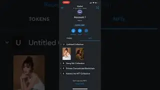 How to import NFT to wallet (Metamask)