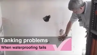 Failed basement waterproofing