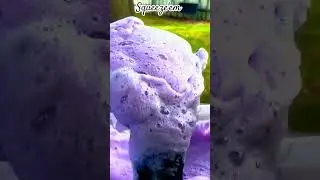 Yummy outside squeeze's 🫧 #spongesqueezingasmr #spongerinse #relax