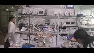 Lead Fluid Filling peristaltic pump working, precision and stable, DS600  #peristalticpump