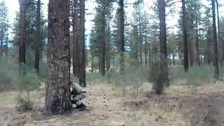 Reno Regulators Airsoft- Dog Valley 2011