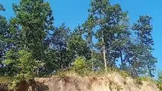 Jungle explorer kadam kadam per khatra 😮😮
