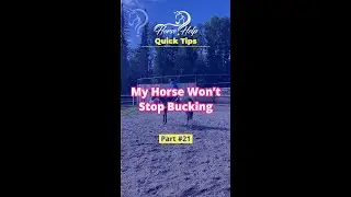 Help! My Horse Won't Stop Bucking! Part 21 | The Horse Guru - Michael Gascon