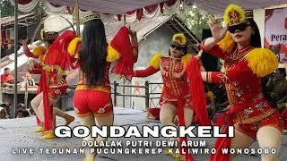 GONDANGKELI - NDOLALAK DEWI ARUM (LIVE) TEDUNAN PUCUNGKEREP KALIWIRO WONOSOBO 