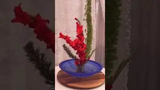 Red Gladiolus Floral Showcase