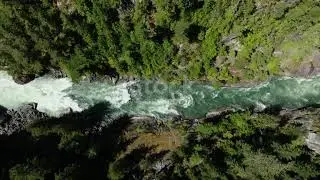 Aerial View of Boreal Nature Forest and River in Summer 4K stock video