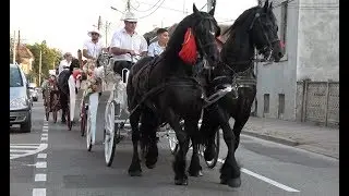 Nunta lui Vlad&Larisa de la Hadareni, Mures - Nunta de poveste - 2019 Nou!!!