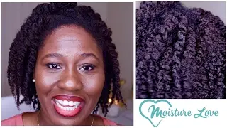 How To Wash Natural Hair & Twist Out Routine | Moisture Love Review