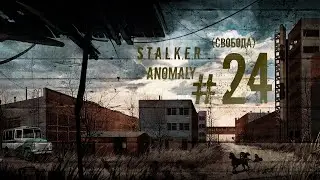 S.T.A.L.K.E.R. Anomaly #24 (Свобода)