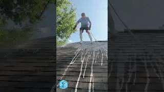 Roof Cleaning in Central Florida | Immaculate SoftWash
