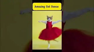 Hilarious Cat Dance Moves! 🐾 Watch This Furry Performer in Action!
