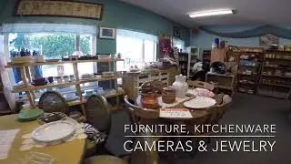 Volunteering at nonprofits