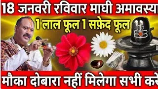 18 जनवरी रविवार माघी अमावस्या के दिन 1 लाल फूल 1 सफ़ेद फूल वाला उपाय जरुर करे || Pradeep Ji Mishra 