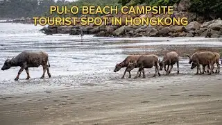 PUI-O BEACH CAMPSITE TOURIST SPOT in hongkong / How to get their?