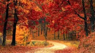 Seasons Soundscape
