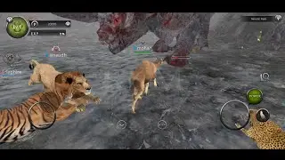 Camel, Fox, Sheep, Cheetah, Tiger, Lion Gameplay - Animal Games | Camel GamePlay | Wild Animal Games