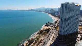 em sẽ trồng CTN Nha Trang