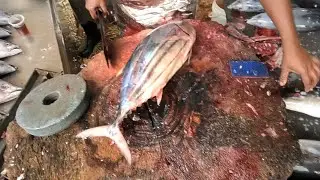 Wow Amazing! 2 Minute Fast blue Tuna Fish Cutting Skills | #fishcutting #tuna #fishcuttingskills