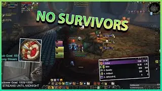 MM HUNTER DOING 73K DPS IN ARENA!!|Daily WoW Highlights #482 |