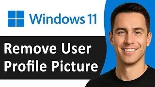 How to Remove User Profile Picture in Windows 11 (Best Way)