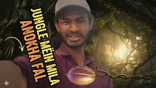 Jungal tor Me mila anokha fal ho app ne kabhi nahi dekha hoga